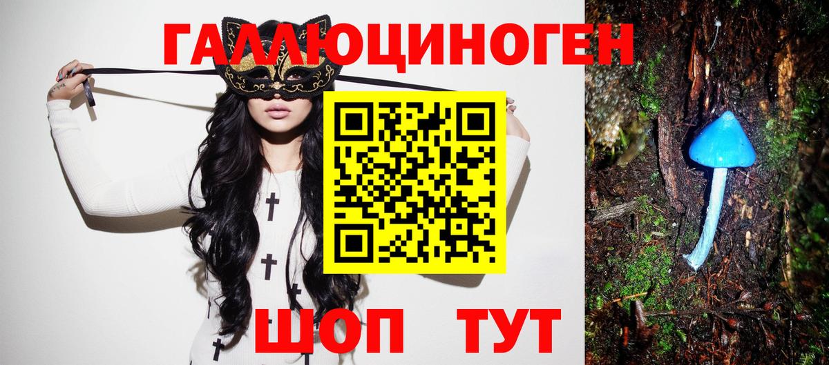 Галлюциногенные грибы мухоморы  Галлюциногенные грибы мицелий  Белово  где купить наркоту  Вход с VPN 